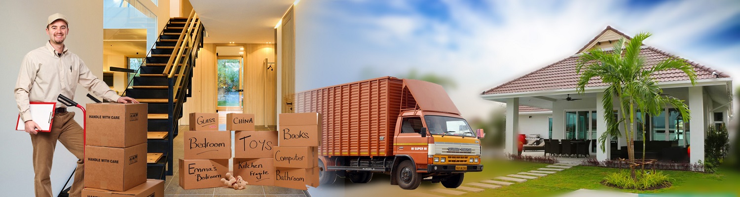 Blue Dart Movers Packers