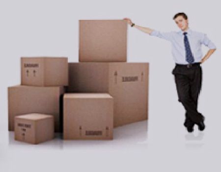 Blue Dart  Packer and Movers Local Shifting Services