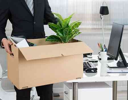 Blue Dart  Packers And Movers Office shifting Services